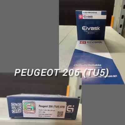 رینگ موتور 206 تیپ5 تعمیردوم 50 رومانی EIVASK