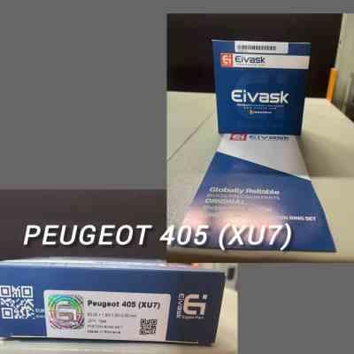 رینگ موتور پژو 405 رومانی EIVASK