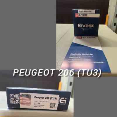 رینگ موتور 206 تیپ 2 رومانی EIVASK