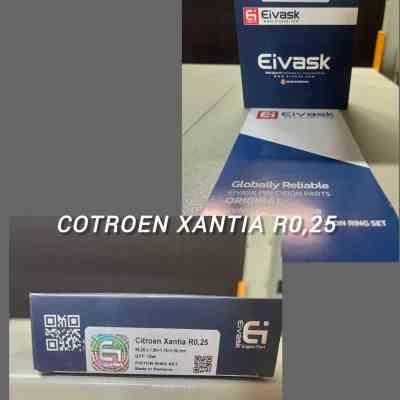 رینگ موتور زانتیا استاندارد 2000 رومانی EIVASK