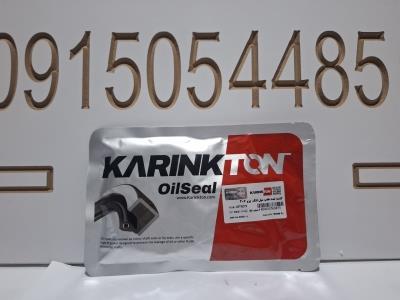 کاسه نمد عقب میل لنگ پژو 206 KARINKTON