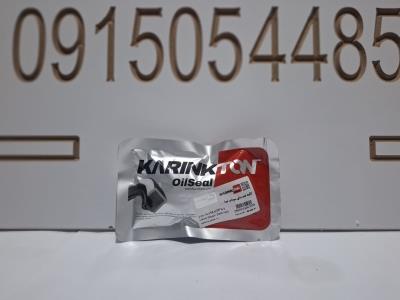 کاسه نمد ساق سوپاپ تیبا KARINKTON